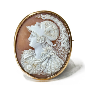 Antique Minerva cameo brooch